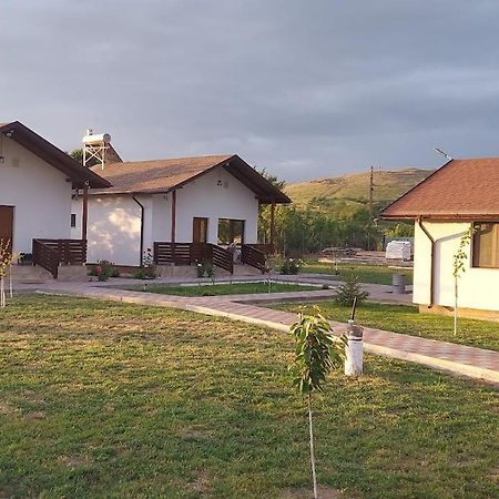 Zander House Peceneaga ภายนอก รูปภาพ