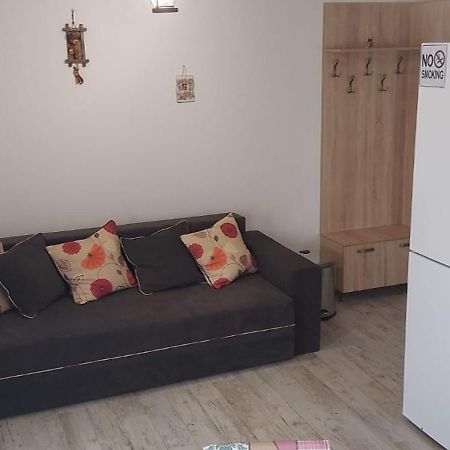 Zander House Peceneaga ภายนอก รูปภาพ