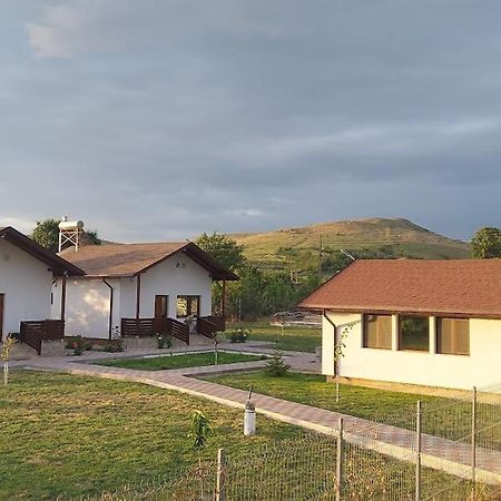 Zander House Peceneaga ภายนอก รูปภาพ