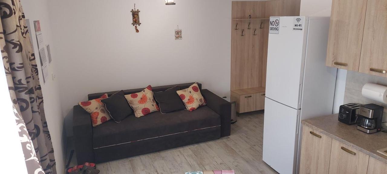 Zander House Peceneaga ภายนอก รูปภาพ